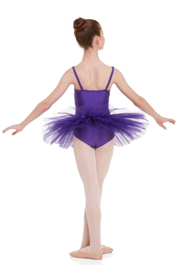 55667952 Princess Seamed Tutu