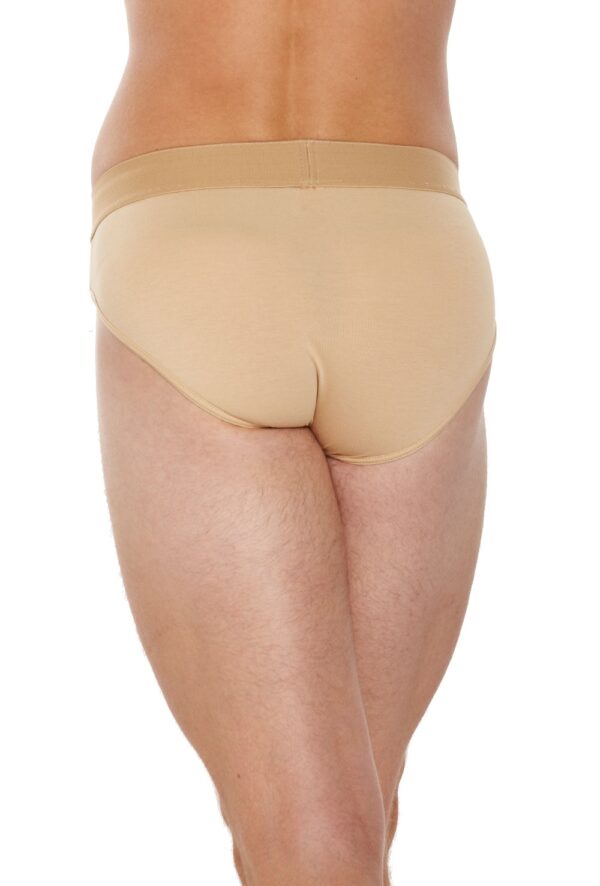 _3_1377018026 (1) Full Rear Dancebelt