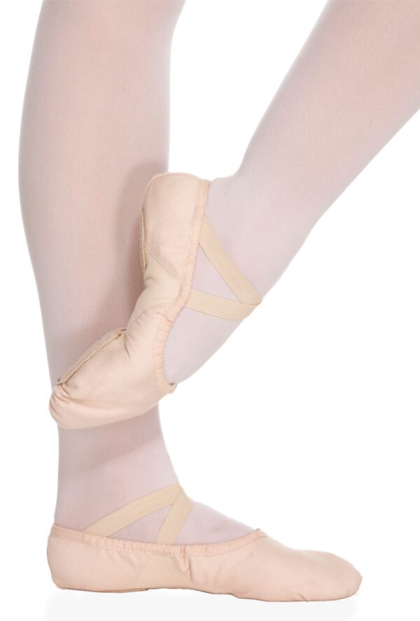 _4_1395138651 Proflex Canvas