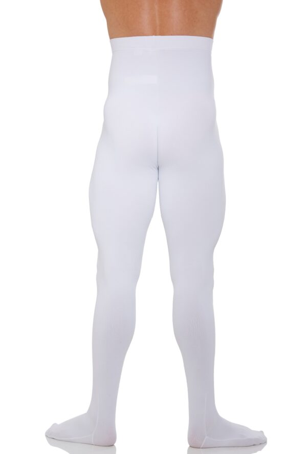 _4_1427200529 Men's Tactel Tights