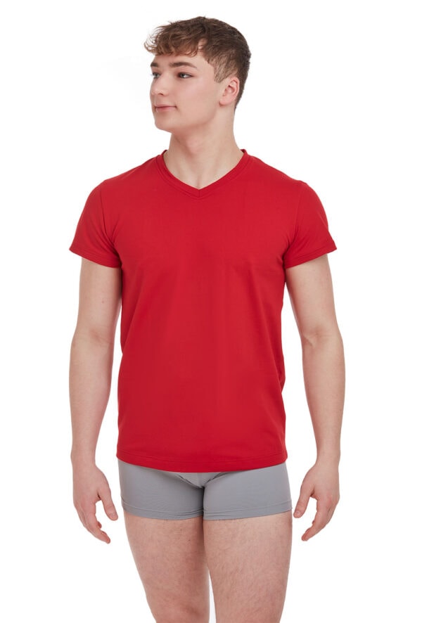 Men's classic V-neck T-shirt