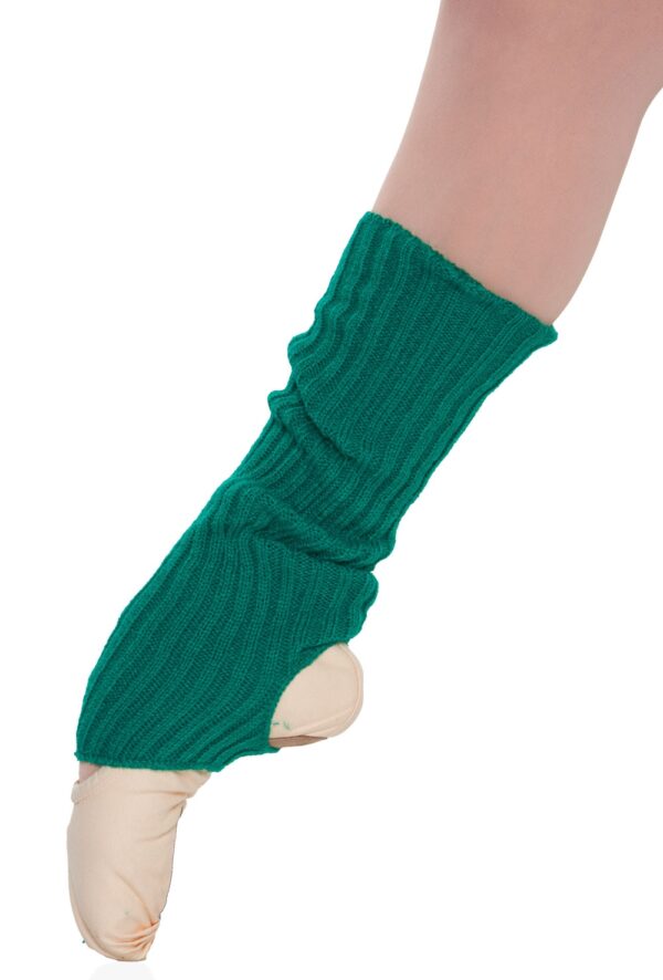 imagepath_1325817056_1_1 Precal Legwarmers