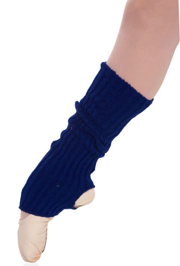 imagepath_1325817736_1 Precal Legwarmers