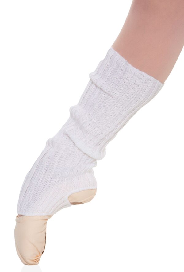 imagepath_1325968098_1_1 Precal Legwarmers