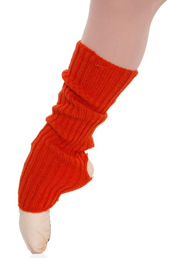 imagepath_1325969350_1_1 Precal Legwarmers