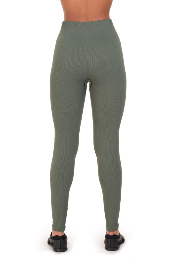 Seamless Rib Legging