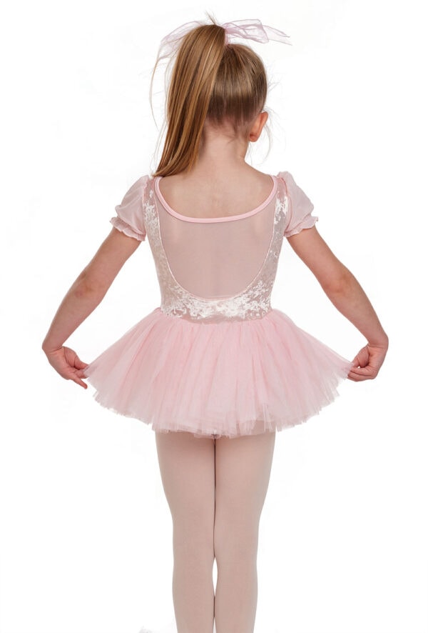CL4132-back Aubrey- Girls Crushed Velvet and Mesh Tutu