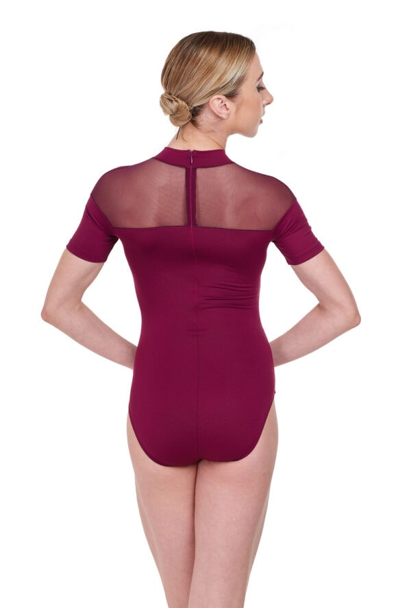 Cassandra-burg-back Cassandra Turtleneck Mesh Leotard